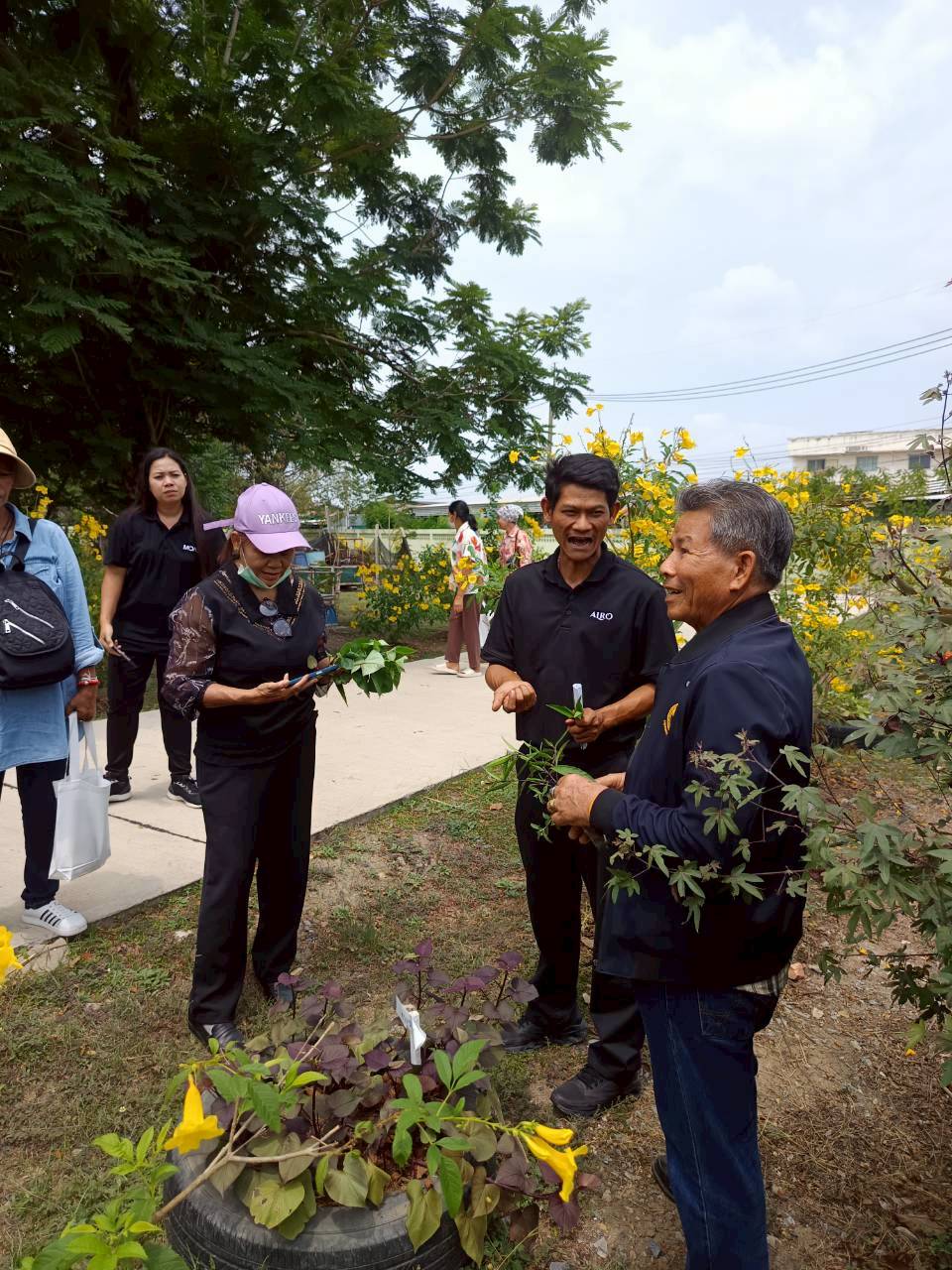 title - ศกร. หนุน “กองทุนฟื้นฟูฯ” พลิกโฉมเกษตรกรไทย! ปรับวิธีคิด-เติมเทคนิคการผลิต สร้างอำนาจต่อรองยุควิกฤตโลก